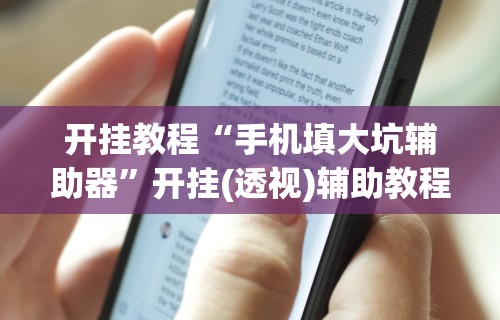 开挂教程“手机填大坑辅助器”开挂(透视)辅助教程