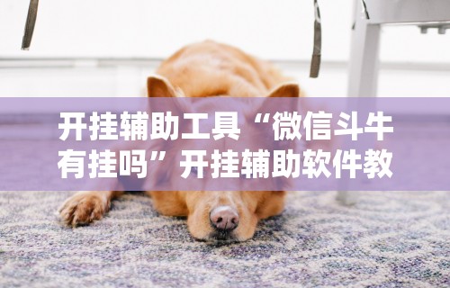 开挂辅助工具“微信斗牛有挂吗”开挂辅助软件教程