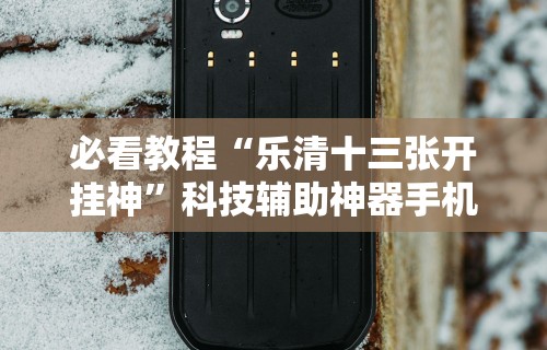 必看教程“乐清十三张开挂神”科技辅助神器手机版教程