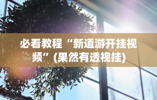 必看教程“新道游开挂视频”(果然有透视挂)
