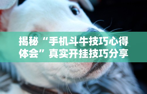 揭秘“手机斗牛技巧心得体会”真实开挂技巧分享