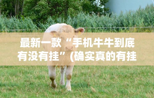 最新一款“手机牛牛到底有没有挂”(确实真的有挂)