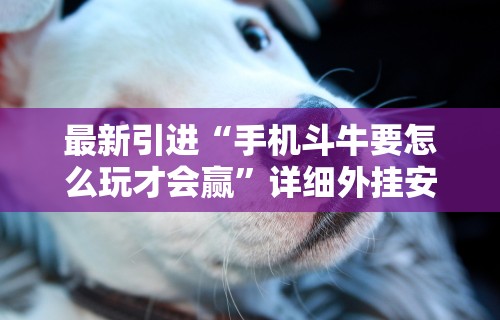 最新引进“手机斗牛要怎么玩才会赢”详细外挂安装步骤
