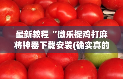 最新教程“微乐捉鸡打麻将神器下载安装(确实真的有挂)