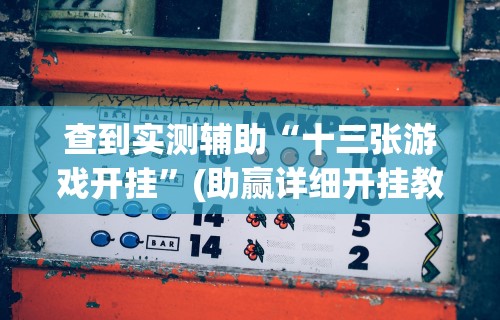 查到实测辅助“十三张游戏开挂”(助赢详细开挂教程)