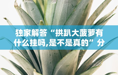 独家解答“拱趴大菠萝有什么挂吗,是不是真的”分享用挂教程