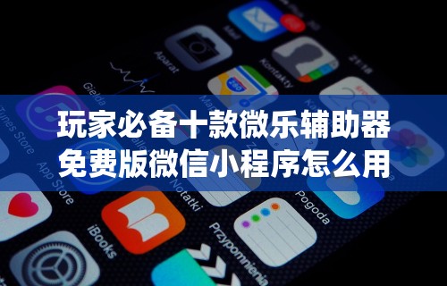 玩家必备十款微乐辅助器免费版微信小程序怎么用”(其实是有挂)