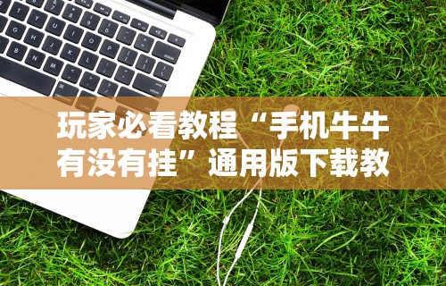 玩家必看教程“手机牛牛有没有挂”通用版下载教程