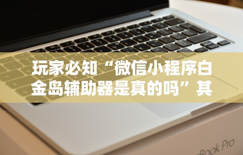 玩家必知“微信小程序白金岛辅助器是真的吗”其实确实有挂