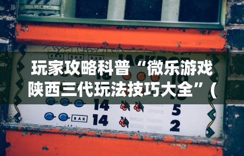 玩家攻略科普“微乐游戏陕西三代玩法技巧大全”(必备工具)辅助教学