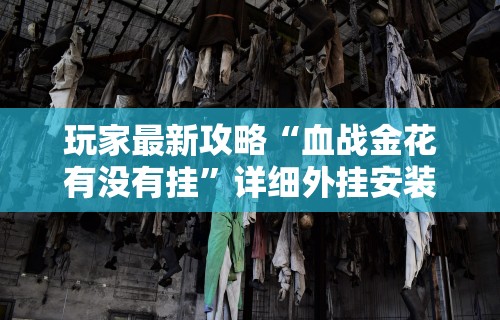 玩家最新攻略“血战金花有没有挂”详细外挂安装步骤