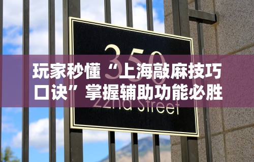 玩家秒懂“上海敲麻技巧口诀”掌握辅助功能必胜规则