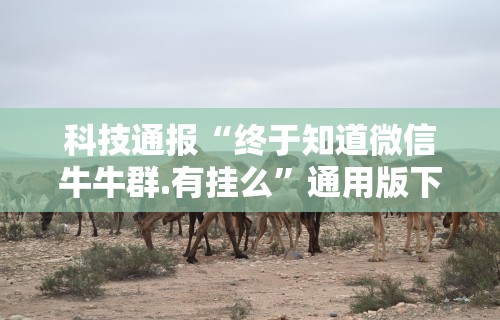 科技通报“终于知道微信牛牛群.有挂么”通用版下载教程！