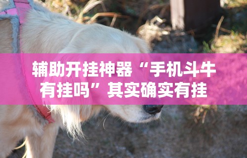 辅助开挂神器“手机斗牛有挂吗”其实确实有挂