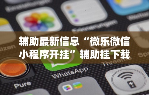 辅助最新信息“微乐微信小程序开挂”辅助挂下载”(最新开挂教程)