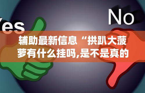 辅助最新信息“拱趴大菠萝有什么挂吗,是不是真的”(果然有透视挂)