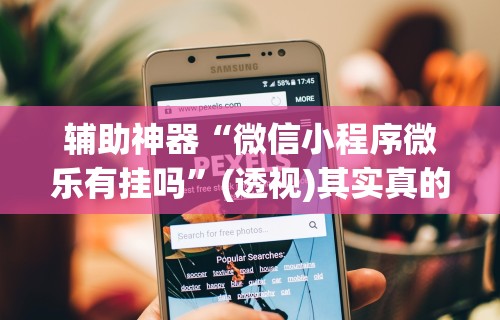 辅助神器“微信小程序微乐有挂吗”(透视)其实真的有挂