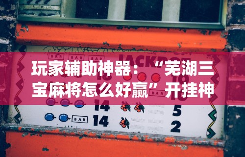 玩家辅助神器：“芜湖三宝麻将怎么好赢”开挂神器{透视辅助}全揭秘