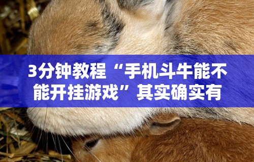 3分钟教程“手机斗牛能不能开挂游戏”其实确实有挂