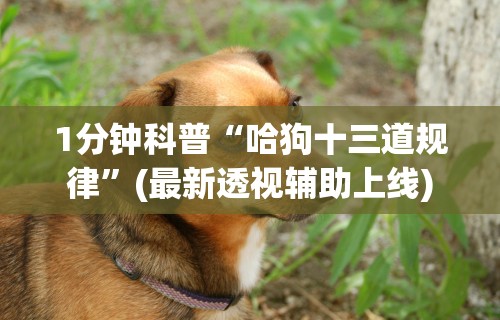 玩家必知“今日花牌开挂神器”开挂辅助详细步骤