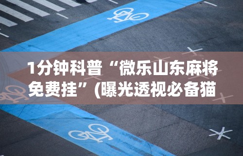 【第一财经】“微信蜀山麻将有挂真的么”掌握辅助功能必胜规则