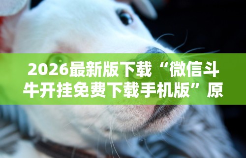 秒懂经验“微乐双扣怎样有好牌”(透视挂)辅助透视教程