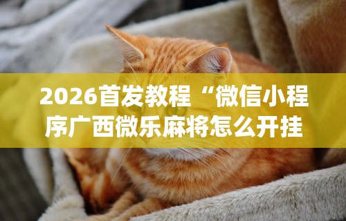 给大家讲解“战斗牛能开挂吗”(透视挂)详细用法教程