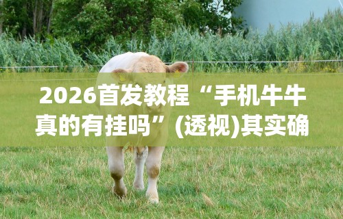 专家分析“微乐透视挂免费下载”开挂(透视)辅助神器