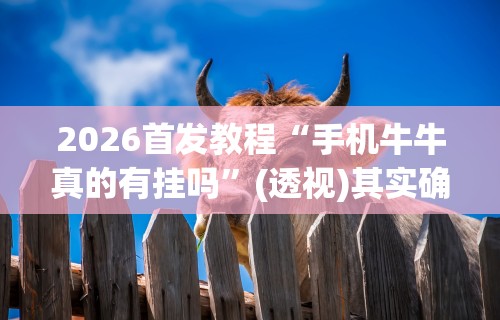 秒懂经验“决战武汉麻将有挂吗”(曝光透视必备猫腻)