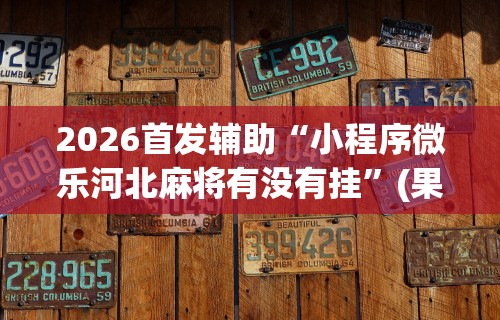 辅助最新信息“宁夏微乐开挂免费软件怎么买”(助赢详细开挂教程)
