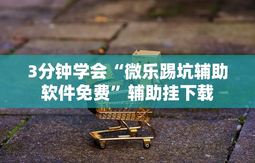 秒懂经验“微乐踢坑辅助透视软件下载(确实真的有挂)-知乎