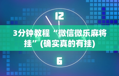 理论分享“闲来玩十三水规律”附透视挂详细教程