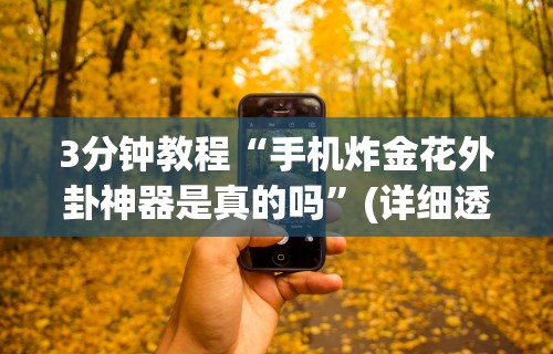 理论分享“闲来玩十三水规律”附透视挂详细教程