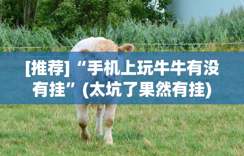强力推荐“微信小程序微乐四川麻将外卦神器下载安装	”详细分享装挂步骤