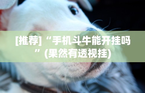 解析分享“微信抢红包开挂神器”作弊挂(辅助外挂+教程)