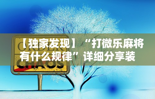 必看教程“微乐填大坑开挂透视软件”开挂(透视)辅助教程