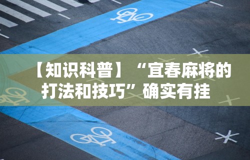 辅助挂机软件“微乐广东麻将开挂免费下载安装”开挂(透视)辅助教程
