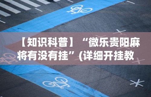 简单学会“白金岛长沙麻将怎么开挂”开挂(透视)辅助教程