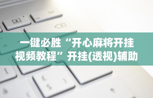 终于懂了“新麻圈挂”详细外挂辅助详细教程