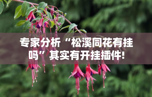 玩家必看教程“达达乐游有挂吗”开挂辅助软件教程