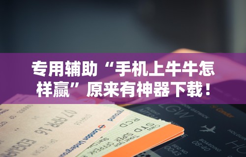 辅助开挂神器“广西棋牌十三张一直输”详细开挂玩法