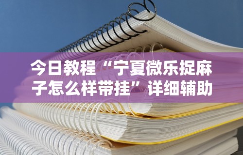 给大家讲解“哥哥杭州麻将如何开挂”开挂辅助脚本+详细开挂