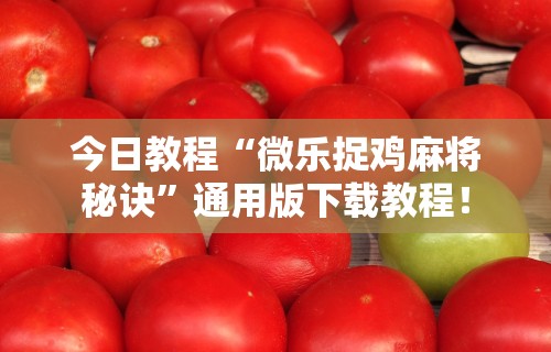 实测工具“指尖跑得快好牌诀窍”详细开挂教程