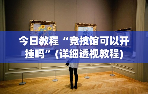 教程解析“推筒子二八杠最新黑科技”开挂辅助脚本+详细开挂