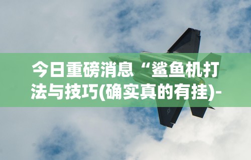 强力推荐“东游麻将技巧[分享装挂详细步骤]