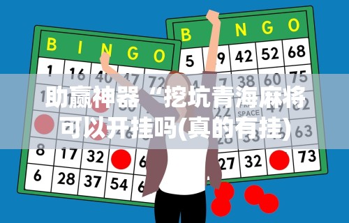 科普实测“嗨玩娱乐有挂吗”(果然有透视挂)