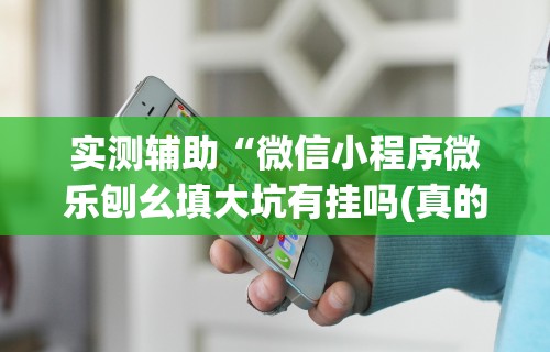 辅助挂机软件“微乐郑州麻将开挂神器	”(外卦神器下载)
