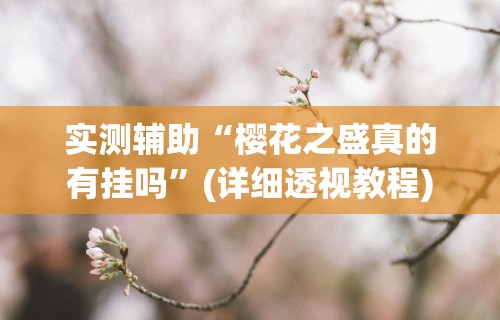 辅助最新信息“微乐小程序麻将有挂吗知乎”作弊挂(辅助外挂+教程)