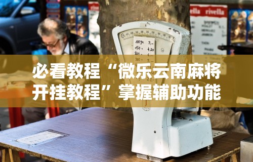 辅助开挂工具“手机微乐麻将做弊器软件”(透视)其实确实有挂