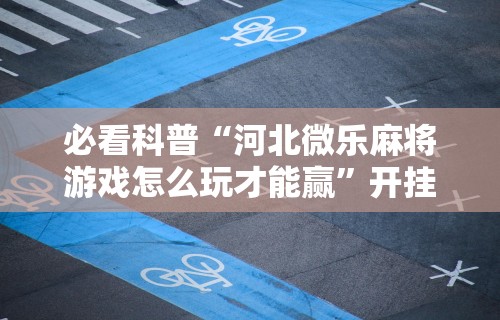 必看科普“河北微乐麻将游戏怎么玩才能赢	”开挂辅助脚本+详细开挂